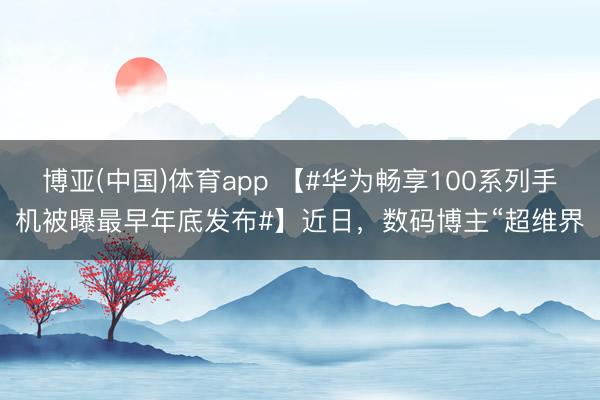 博亚(中国)体育app 【#华为畅享100系列手机被曝最早年底发布#】近日,数码博主“超维界