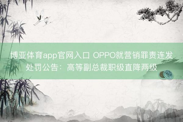 博亚体育app官网入口 OPPO就营销罪责连发处罚公告：高等副总裁职级直降两级