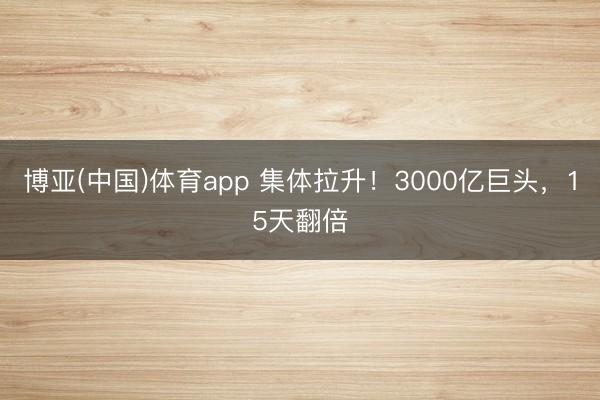 博亚(中国)体育app 集体拉升！3000亿巨头，15天翻倍