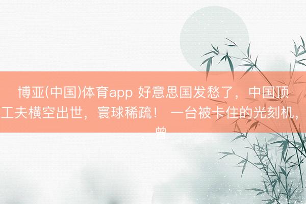 博亚(中国)体育app 好意思国发愁了，中国顶尖工夫横空出世，寰球稀疏！ 一台被卡住的光刻机，曾