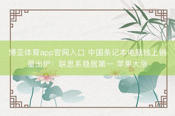 博亚体育app官网入口 中国条记本电脑线上销量出炉：联思系稳居第一 苹果大涨