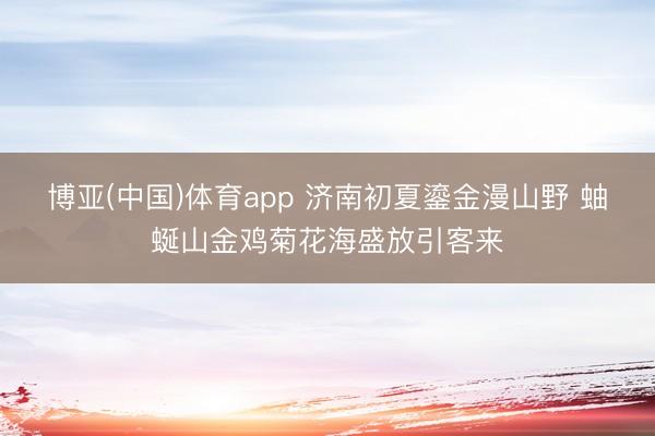 博亚(中国)体育app 济南初夏鎏金漫山野 蚰蜒山金鸡菊花海盛放引客来