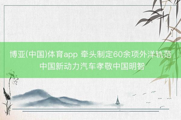 博亚(中国)体育app 牵头制定60余项外洋轨范 中国新动力汽车孝敬中国明智