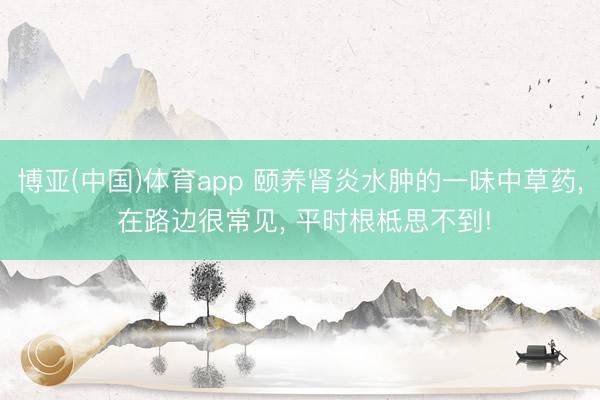 博亚(中国)体育app 颐养肾炎水肿的一味中草药， 在路边很常见， 平时根柢思不到!