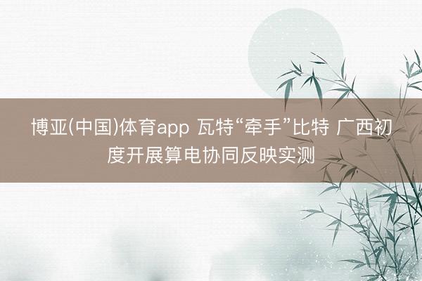 博亚(中国)体育app 瓦特“牵手”比特 广西初度开展算电协同反映实测