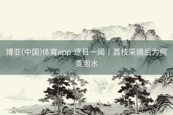 博亚(中国)体育app 逐日一闻丨荔枝采摘后为何要泡水