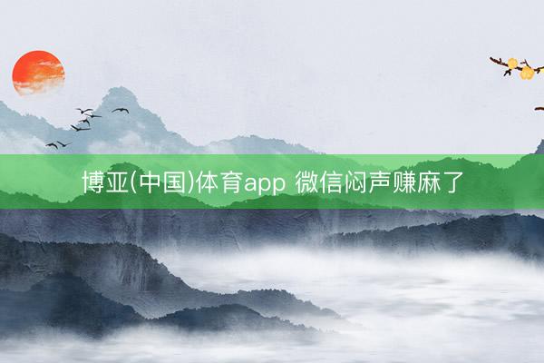 博亚(中国)体育app 微信闷声赚麻了