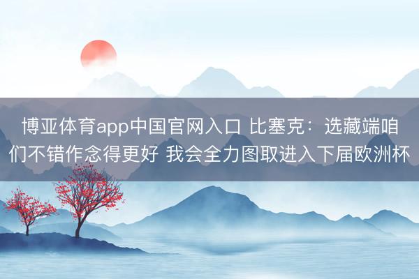 博亚体育app中国官网入口 比塞克：选藏端咱们不错作念得更好 我会全力图取进入下届欧洲杯