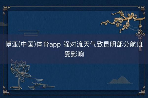 博亚(中国)体育app 强对流天气致昆明部分航班受影响