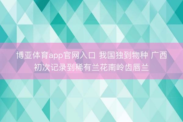 博亚体育app官网入口 我国独到物种 广西初次记录到稀有兰花南岭齿唇兰
