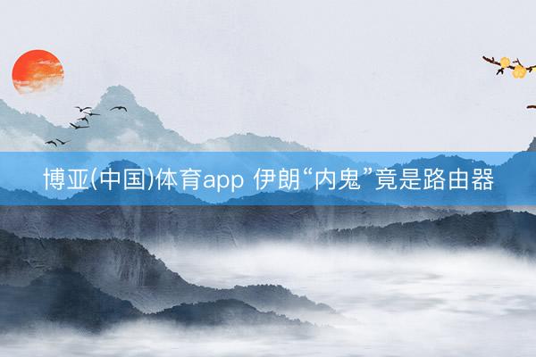 博亚(中国)体育app 伊朗“内鬼”竟是路由器