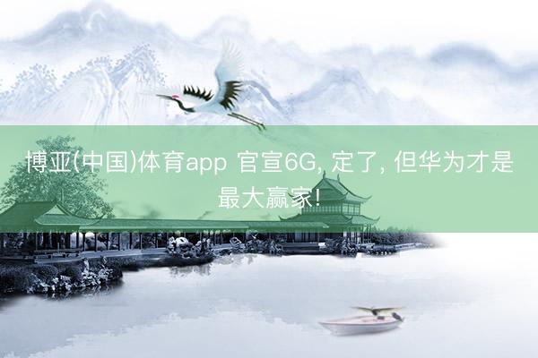 博亚(中国)体育app 官宣6G， 定了， 但华为才是最大赢家!